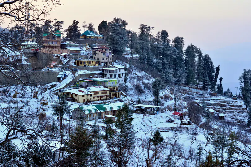 noida to shimla taxi